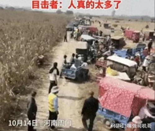 郑州平顶山最新爆料事件,惊人真相揭开背后黑幕